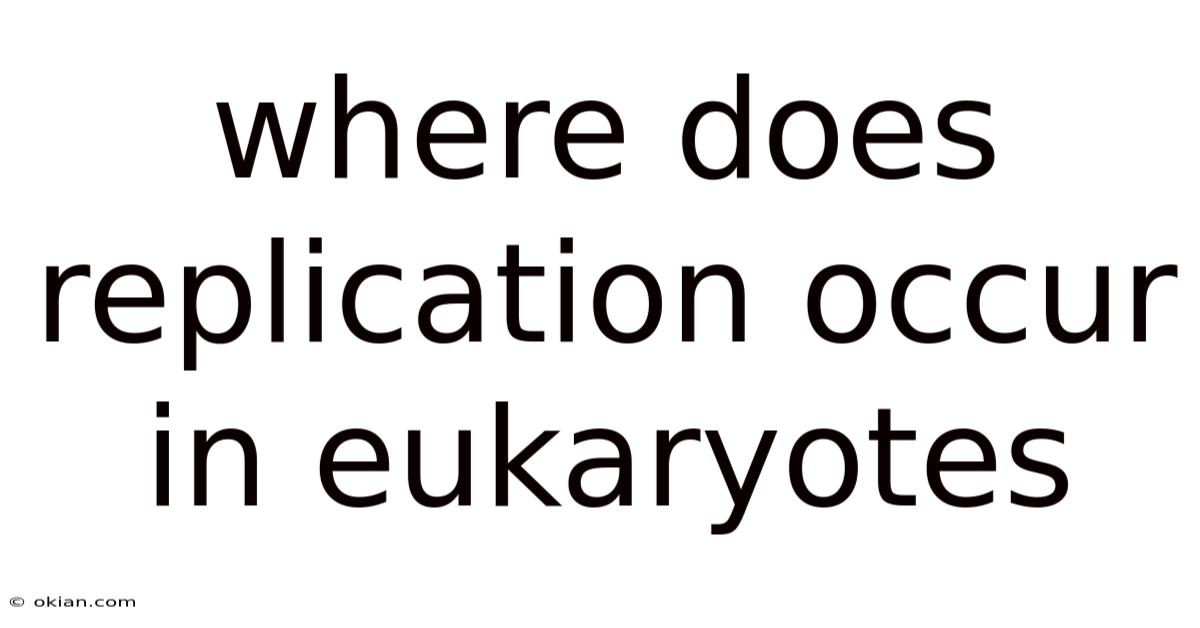 Where Does Replication Occur In Eukaryotes
