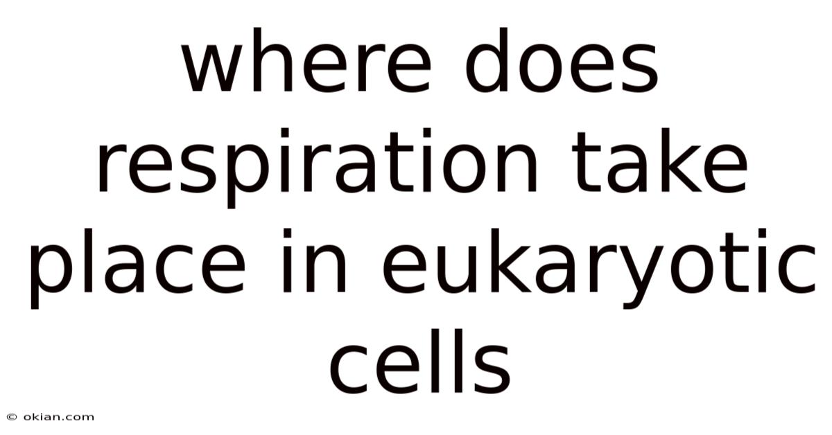 Where Does Respiration Take Place In Eukaryotic Cells
