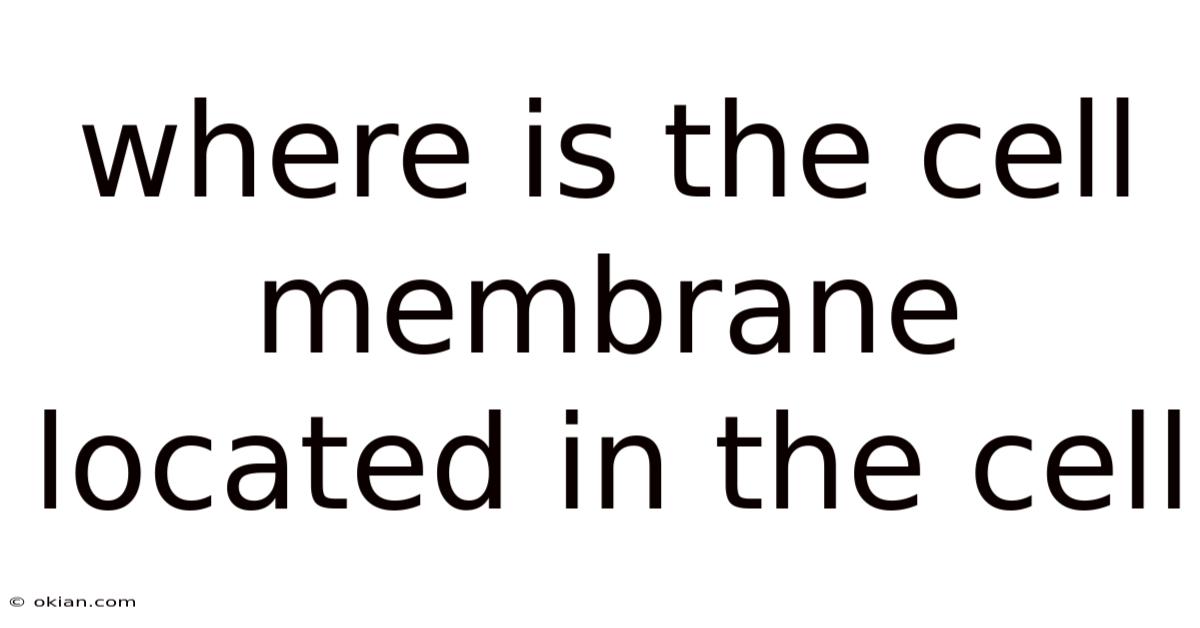 Where Is The Cell Membrane Located In The Cell