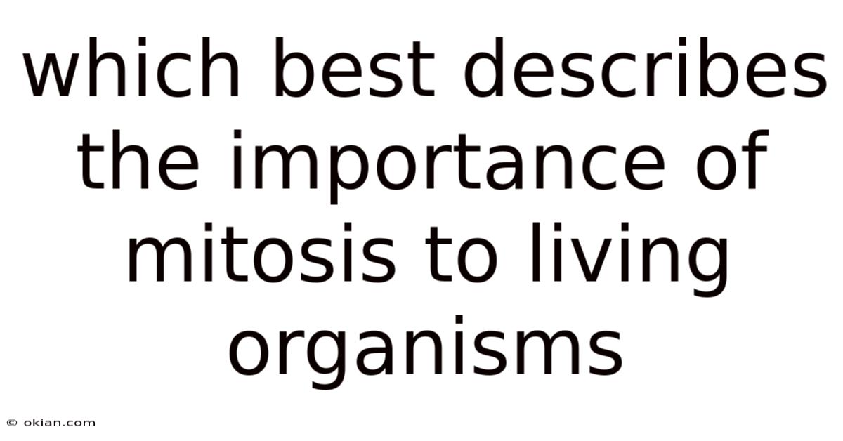 Which Best Describes The Importance Of Mitosis To Living Organisms