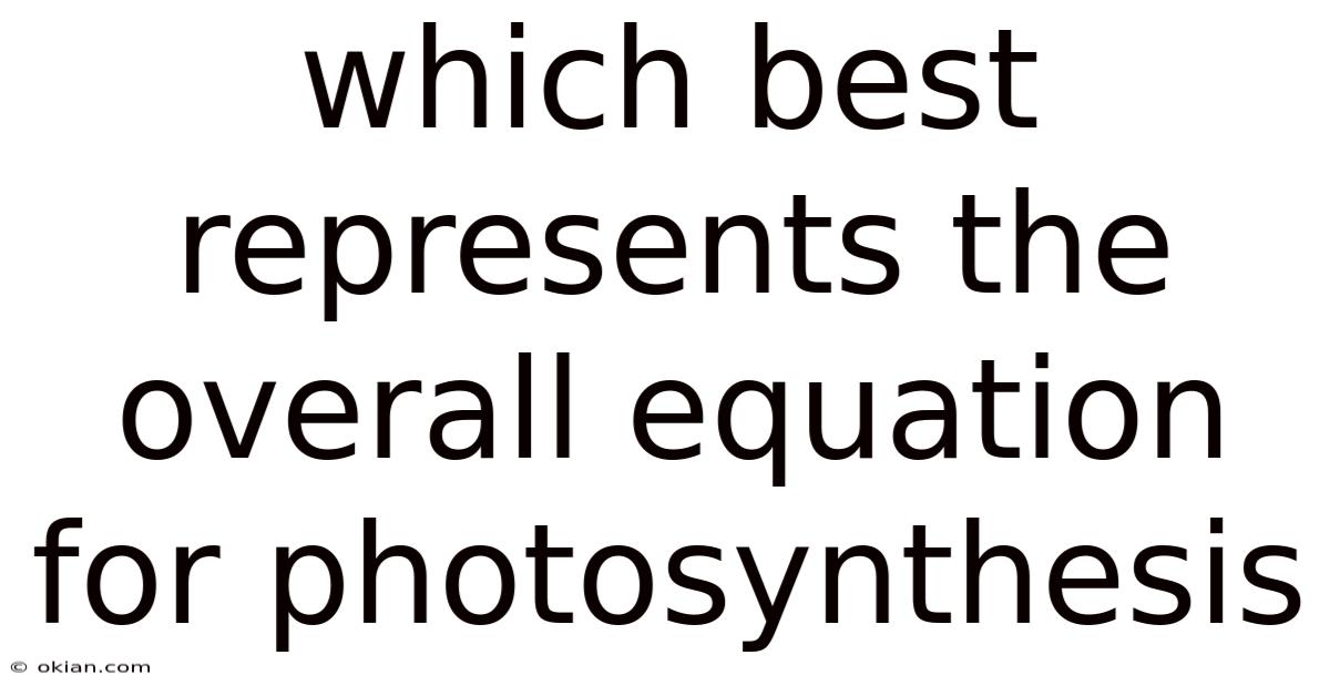 Which Best Represents The Overall Equation For Photosynthesis