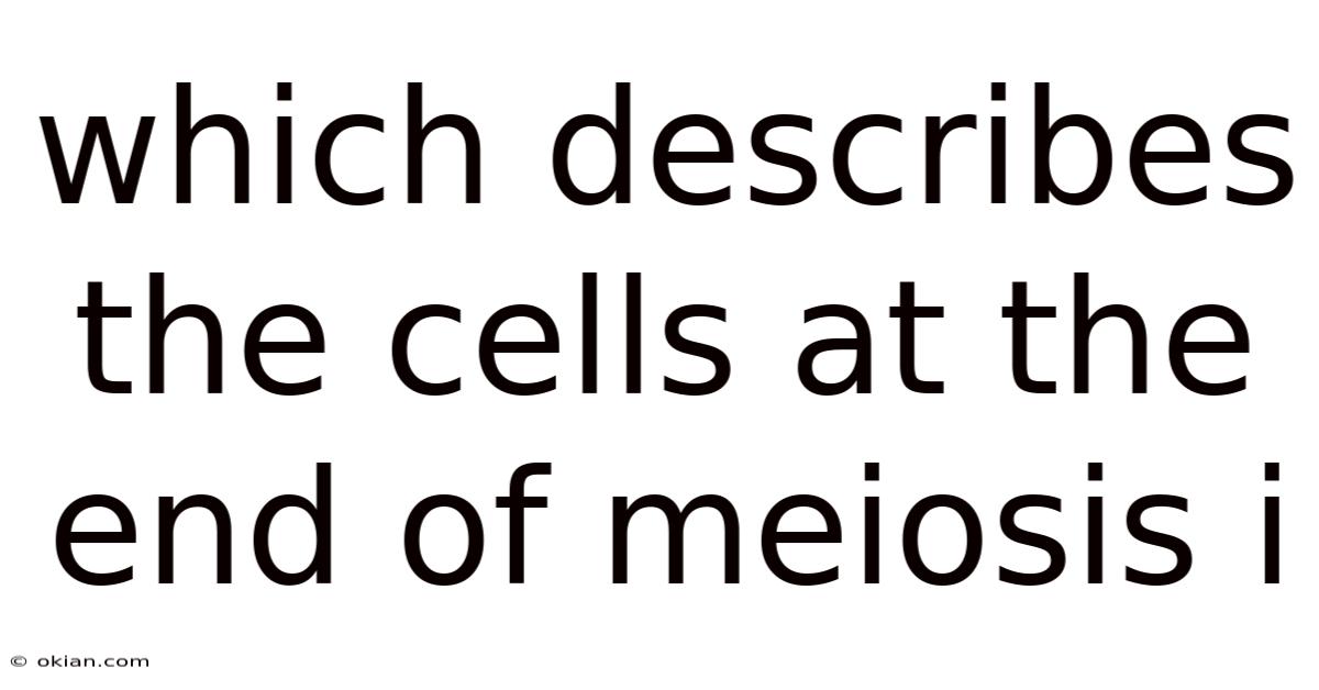 Which Describes The Cells At The End Of Meiosis I