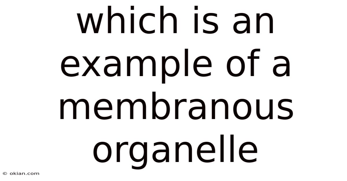 Which Is An Example Of A Membranous Organelle