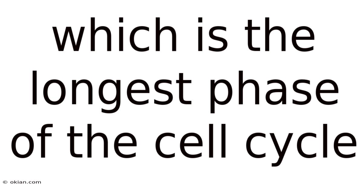 Which Is The Longest Phase Of The Cell Cycle