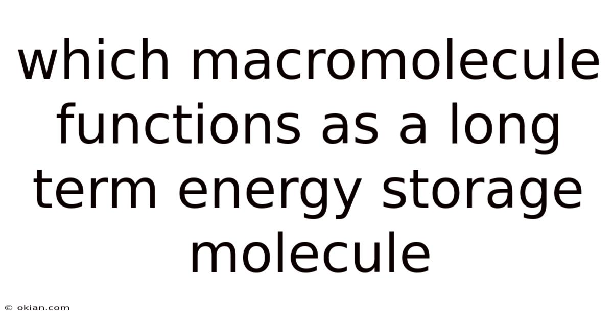 Which Macromolecule Functions As A Long Term Energy Storage Molecule