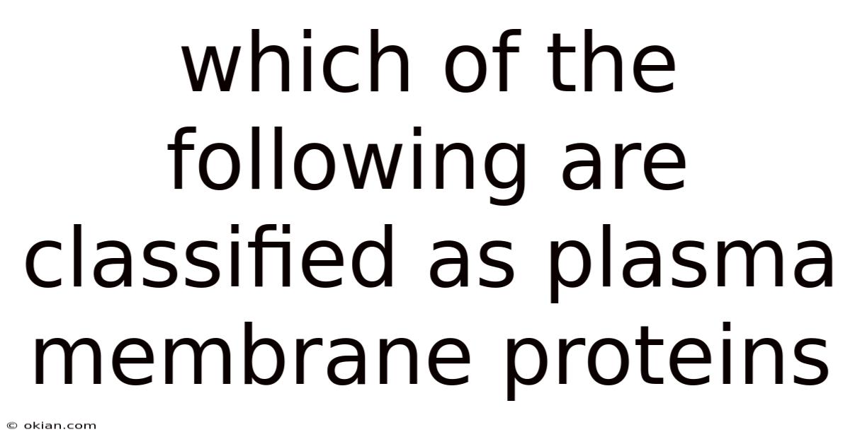 Which Of The Following Are Classified As Plasma Membrane Proteins