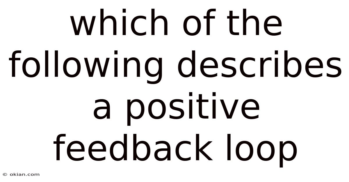 Which Of The Following Describes A Positive Feedback Loop