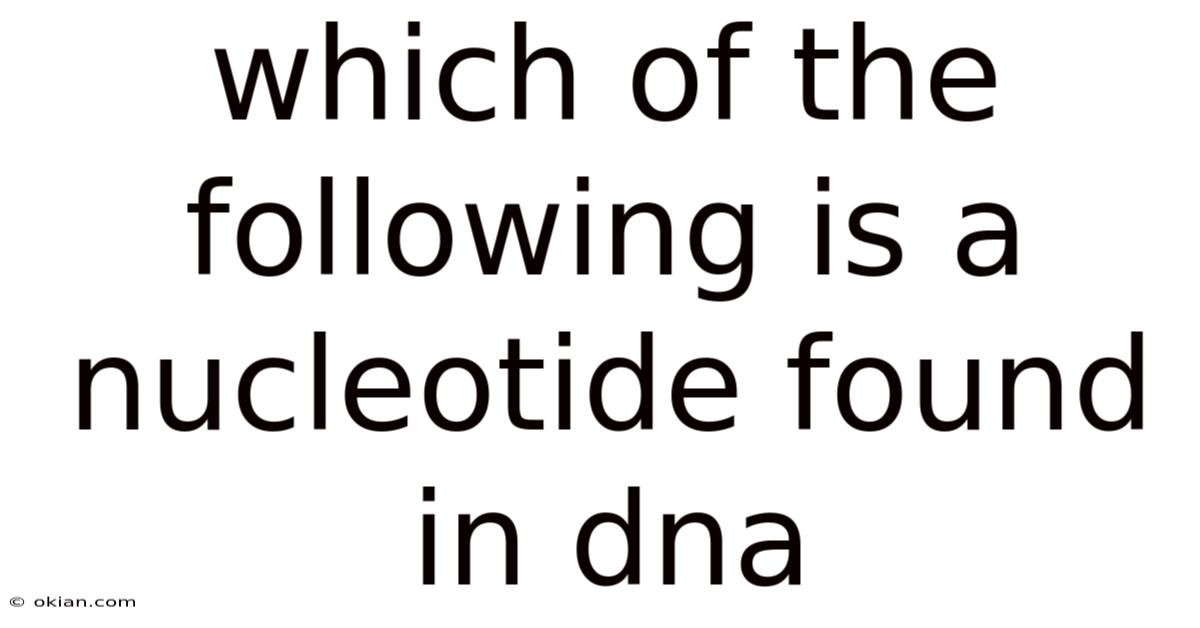 Which Of The Following Is A Nucleotide Found In Dna