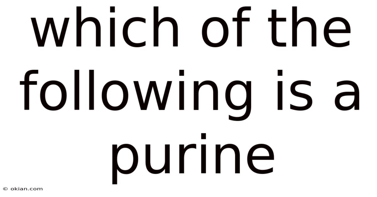 Which Of The Following Is A Purine