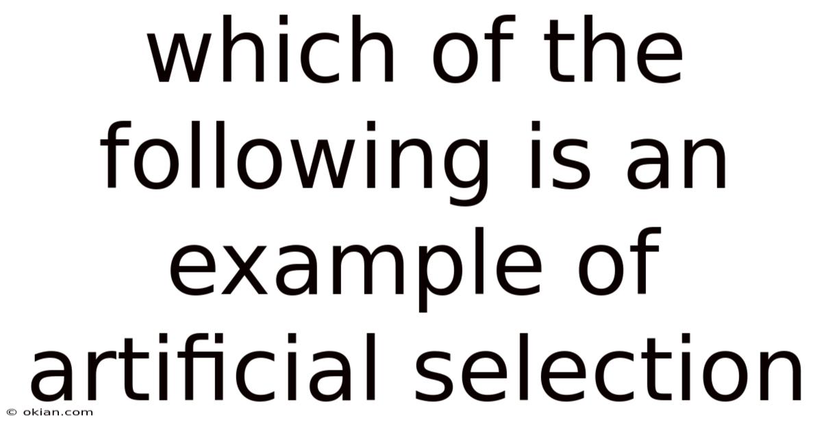 Which Of The Following Is An Example Of Artificial Selection