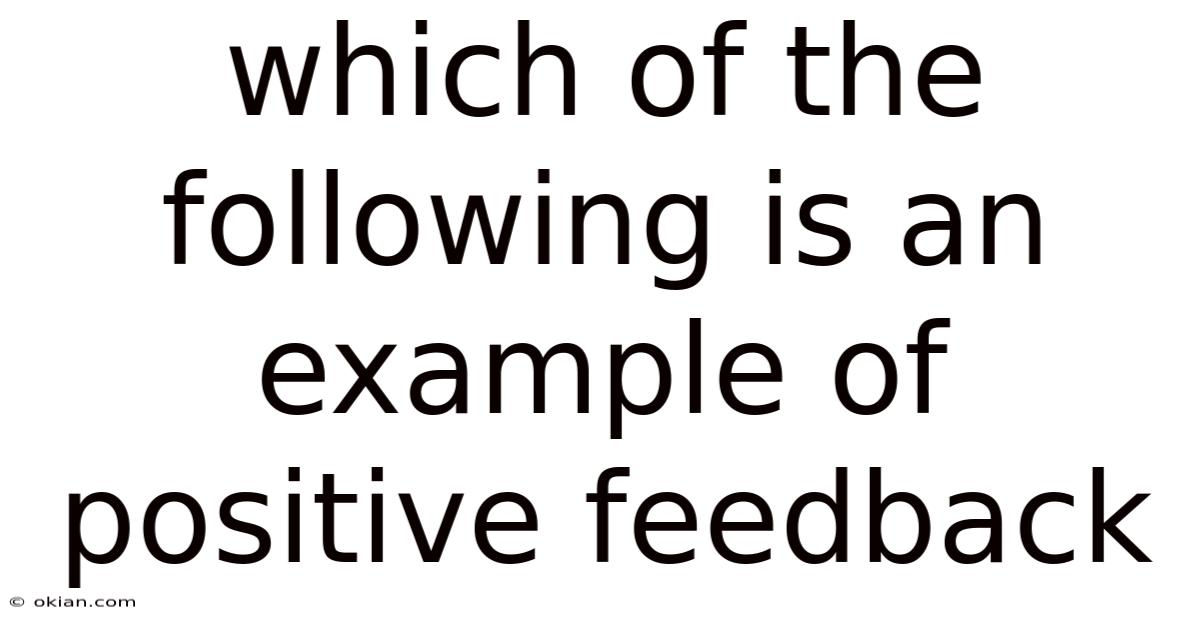 Which Of The Following Is An Example Of Positive Feedback