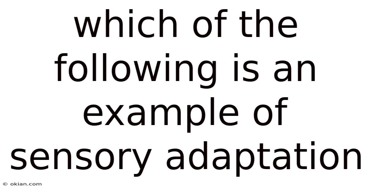 Which Of The Following Is An Example Of Sensory Adaptation