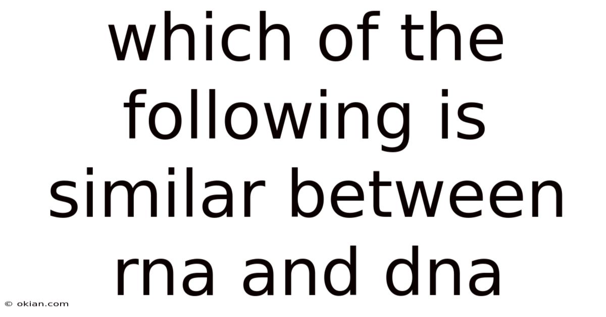 Which Of The Following Is Similar Between Rna And Dna