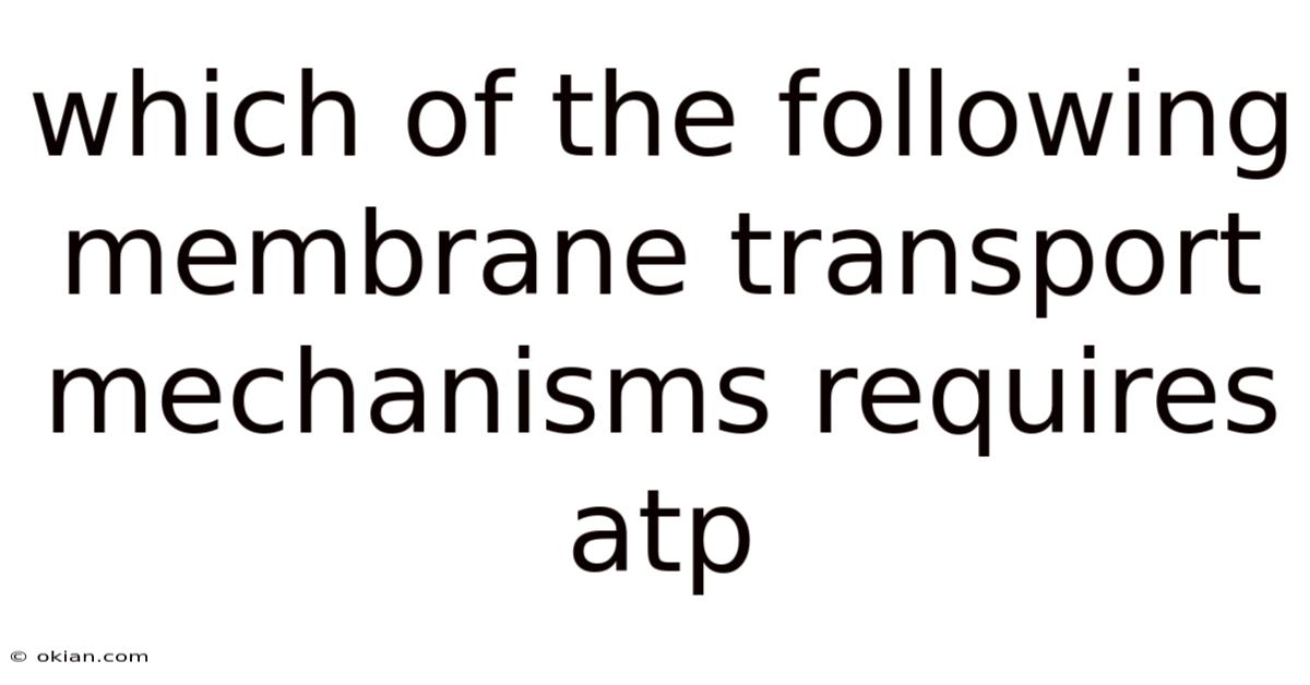 Which Of The Following Membrane Transport Mechanisms Requires Atp
