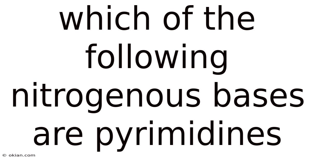Which Of The Following Nitrogenous Bases Are Pyrimidines