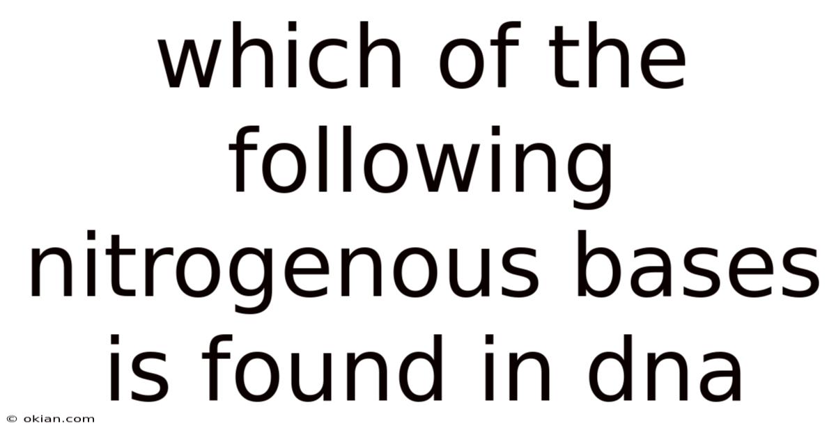 Which Of The Following Nitrogenous Bases Is Found In Dna