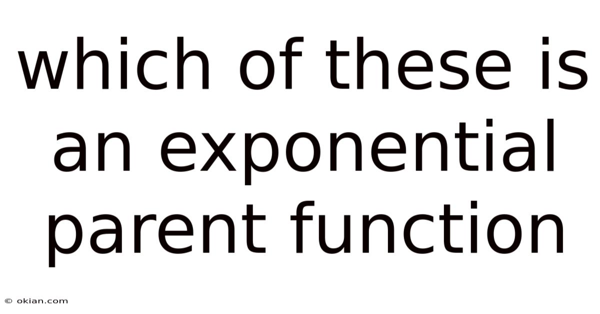 Which Of These Is An Exponential Parent Function