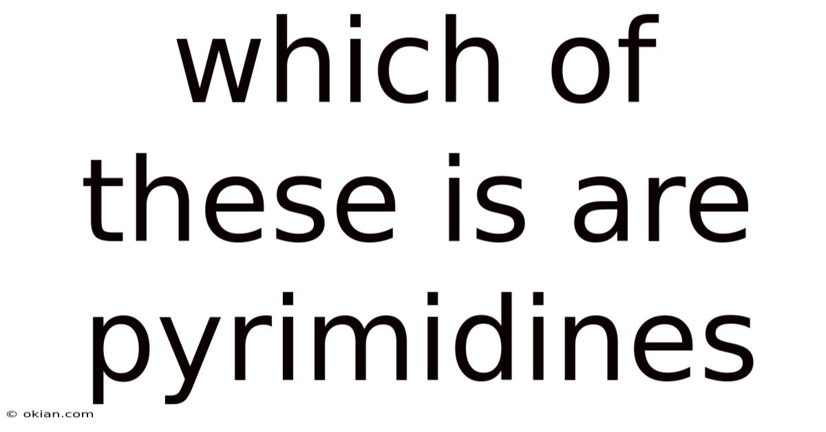 Which Of These Is Are Pyrimidines