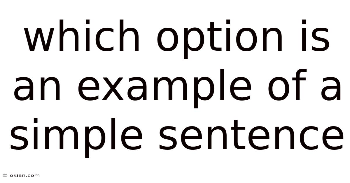 Which Option Is An Example Of A Simple Sentence
