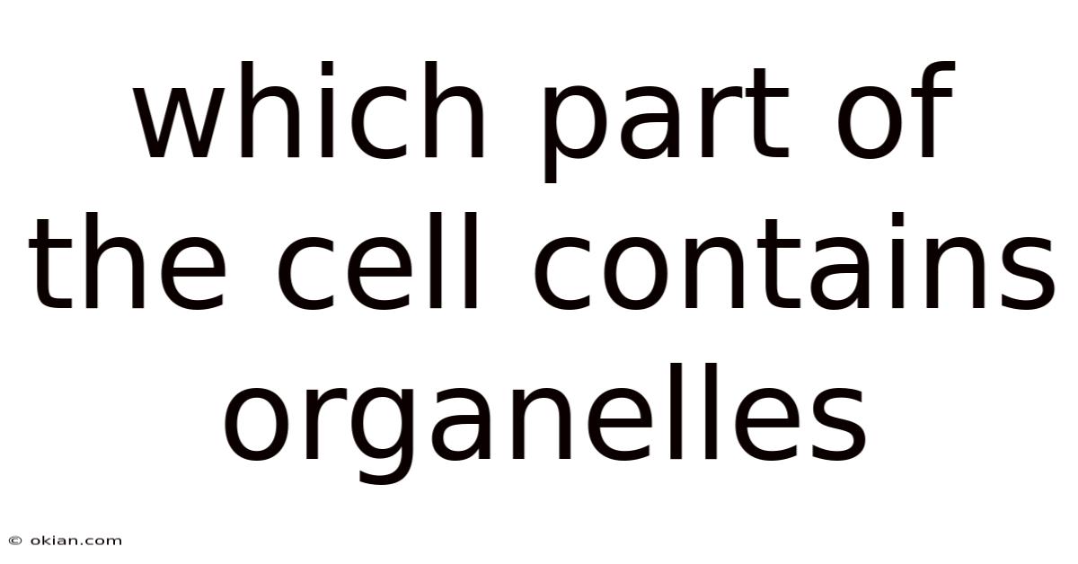 Which Part Of The Cell Contains Organelles