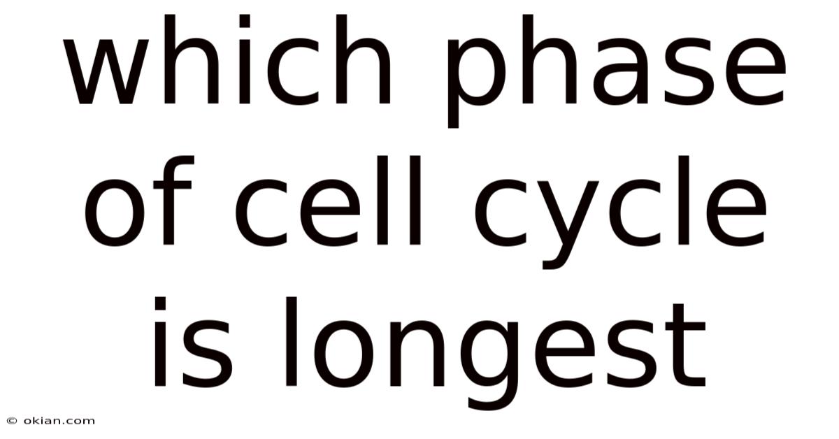 Which Phase Of Cell Cycle Is Longest