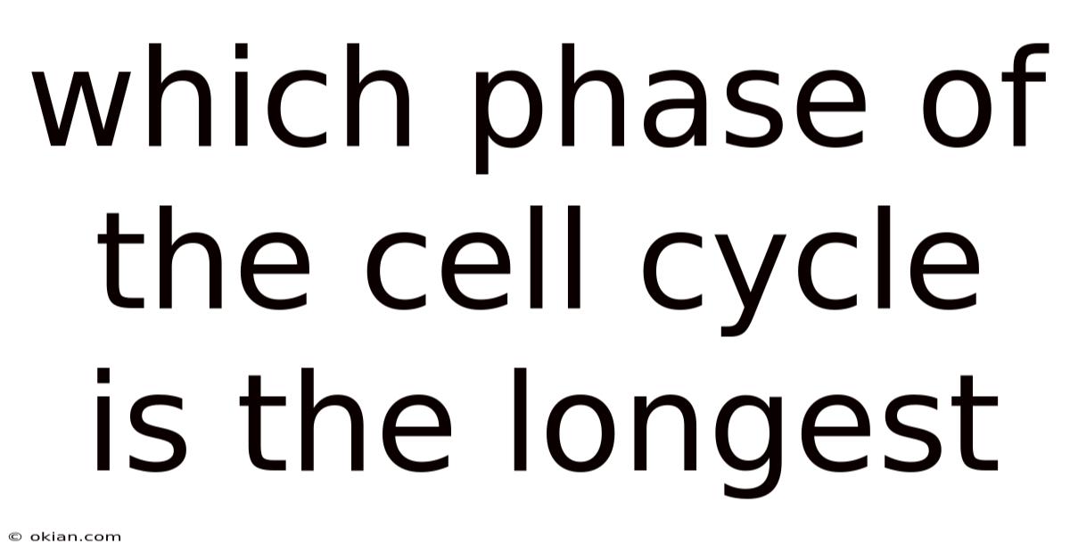 Which Phase Of The Cell Cycle Is The Longest
