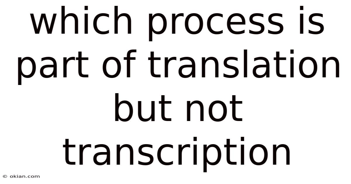 Which Process Is Part Of Translation But Not Transcription