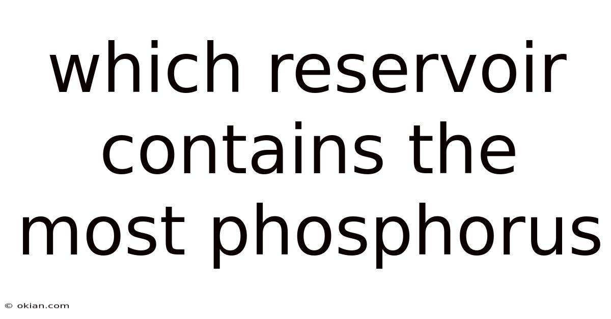 Which Reservoir Contains The Most Phosphorus