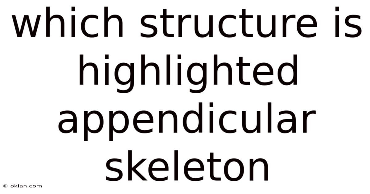 Which Structure Is Highlighted Appendicular Skeleton