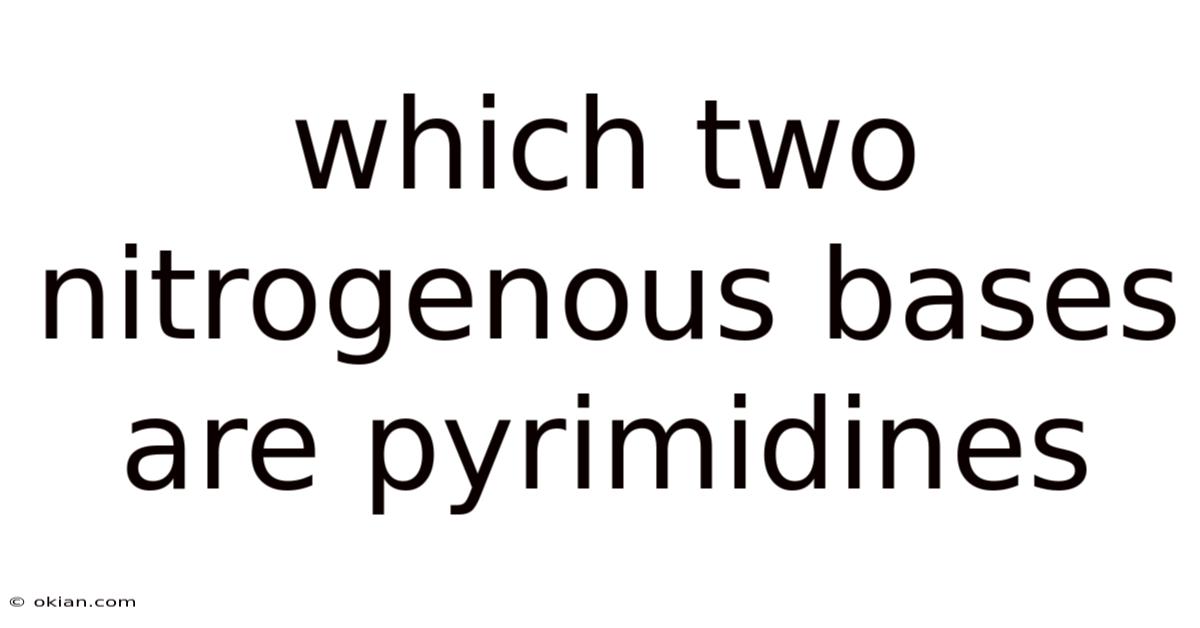 Which Two Nitrogenous Bases Are Pyrimidines