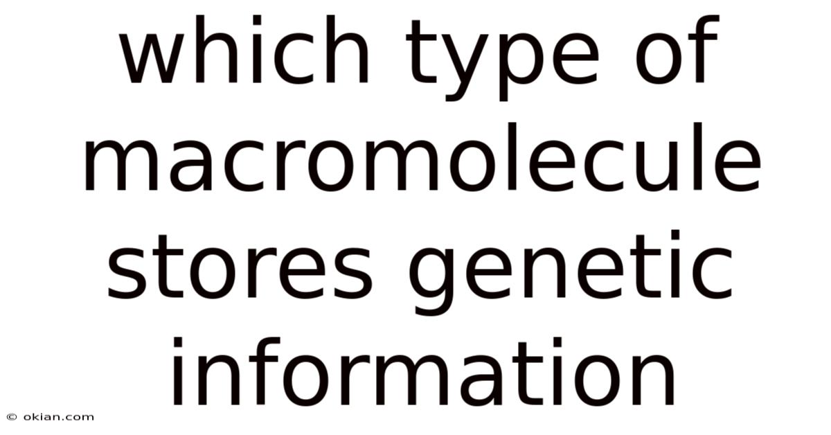 Which Type Of Macromolecule Stores Genetic Information