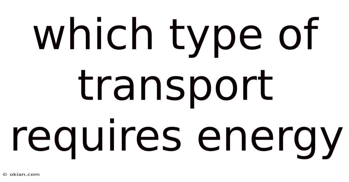 Which Type Of Transport Requires Energy