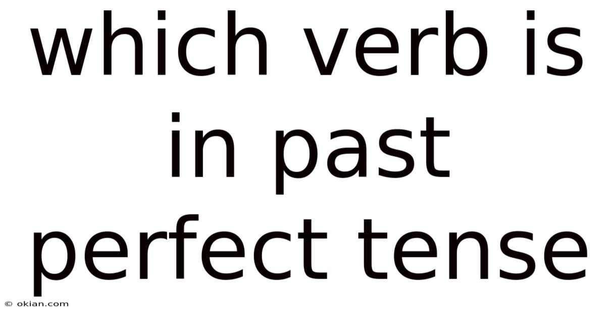 Which Verb Is In Past Perfect Tense