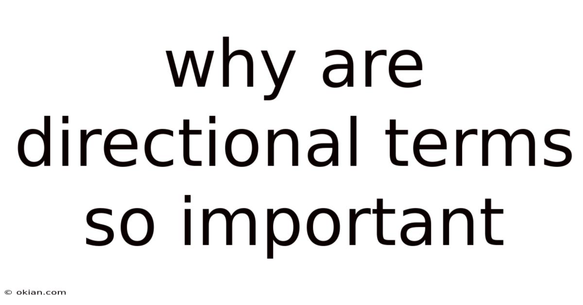 Why Are Directional Terms So Important
