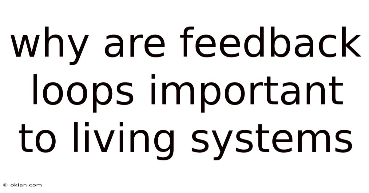 Why Are Feedback Loops Important To Living Systems