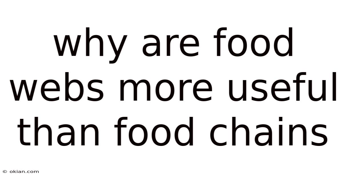 Why Are Food Webs More Useful Than Food Chains