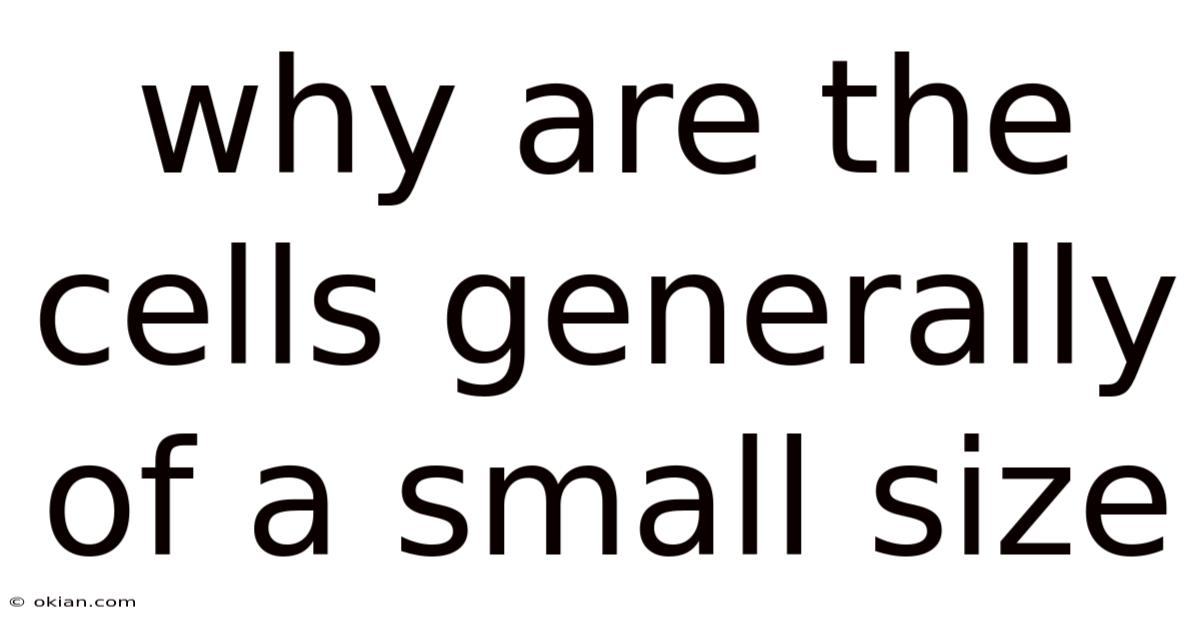 Why Are The Cells Generally Of A Small Size