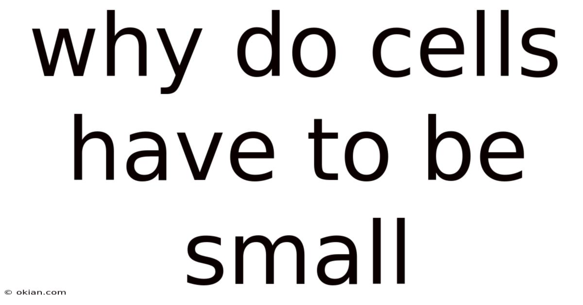 Why Do Cells Have To Be Small