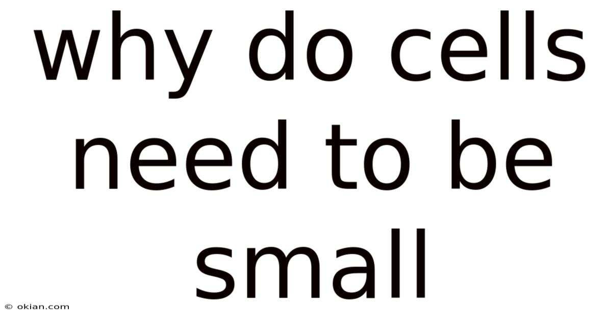 Why Do Cells Need To Be Small