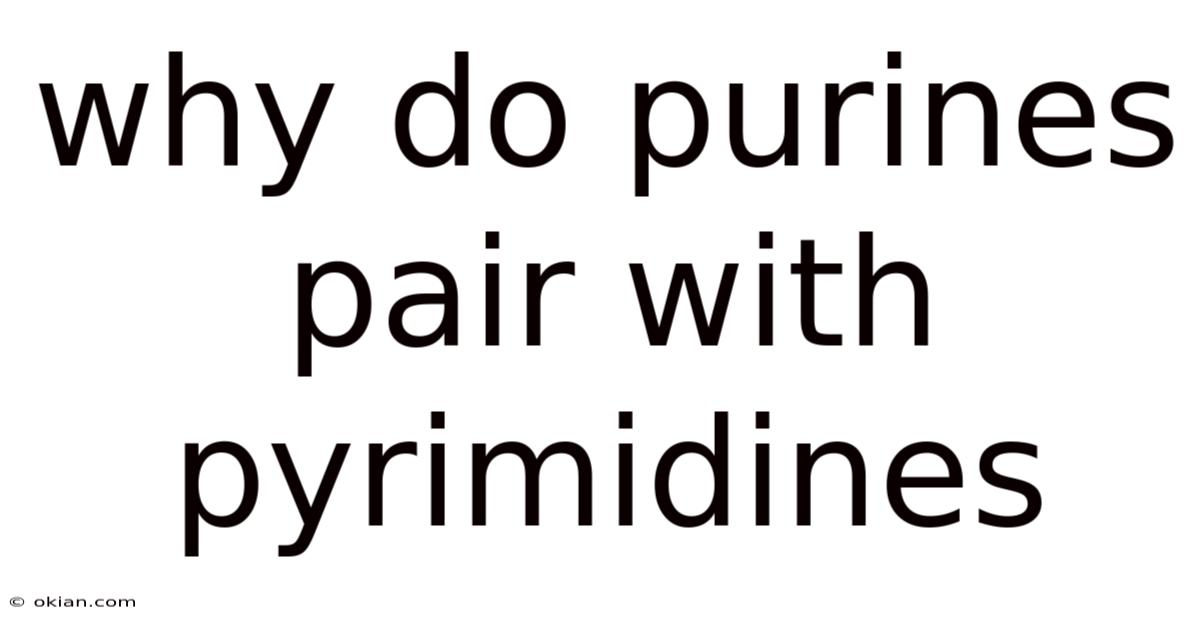 Why Do Purines Pair With Pyrimidines