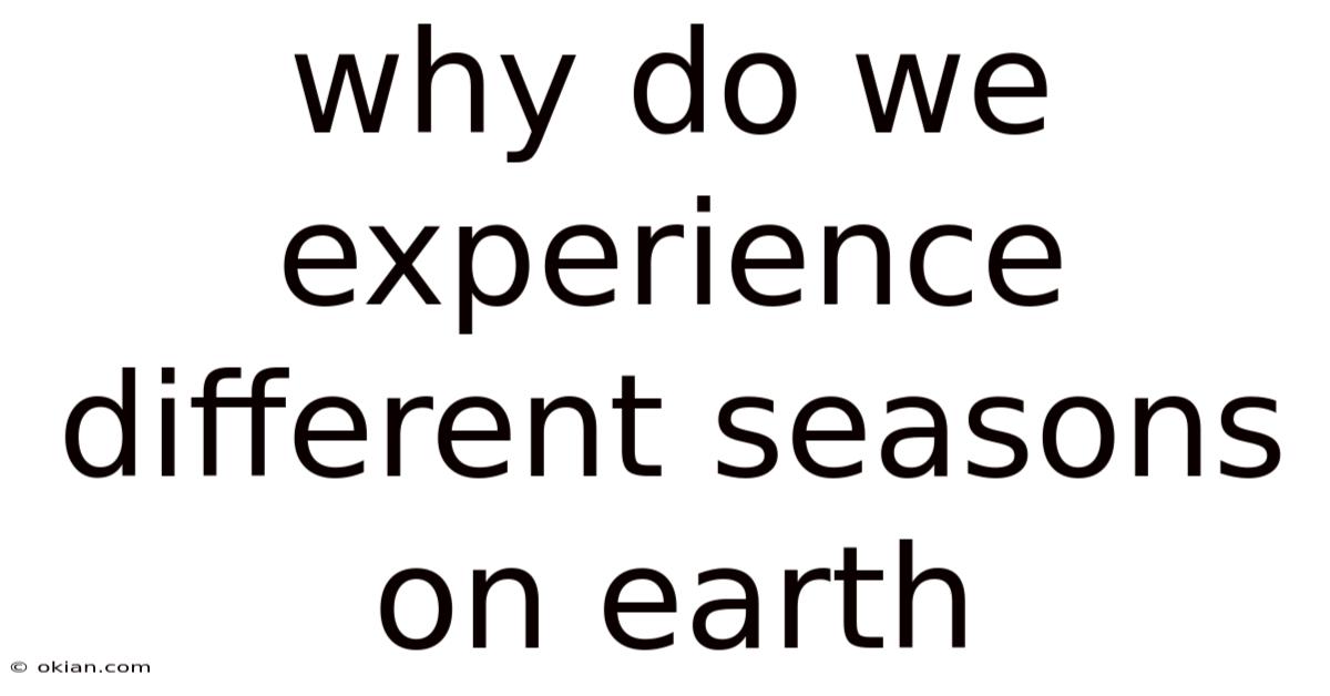 Why Do We Experience Different Seasons On Earth