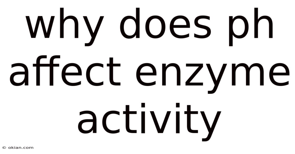 Why Does Ph Affect Enzyme Activity