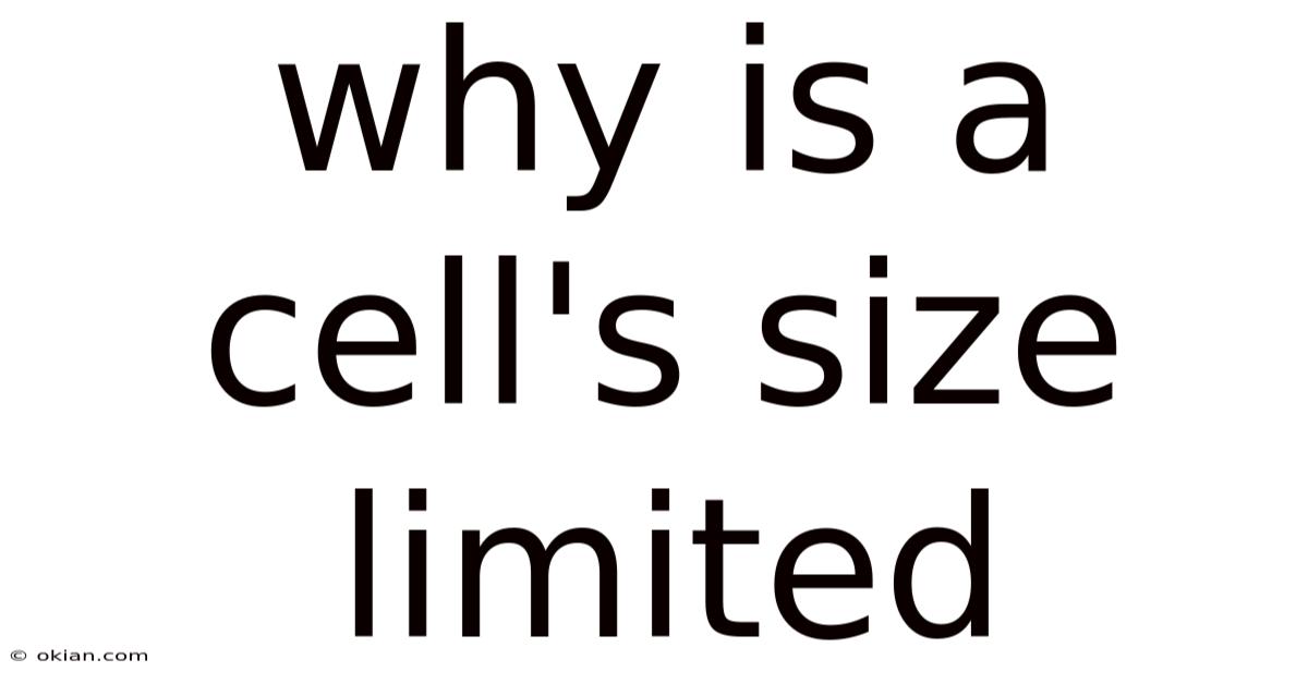 Why Is A Cell's Size Limited