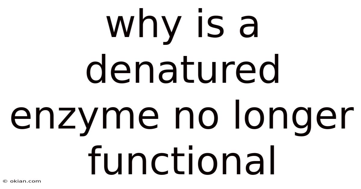 Why Is A Denatured Enzyme No Longer Functional