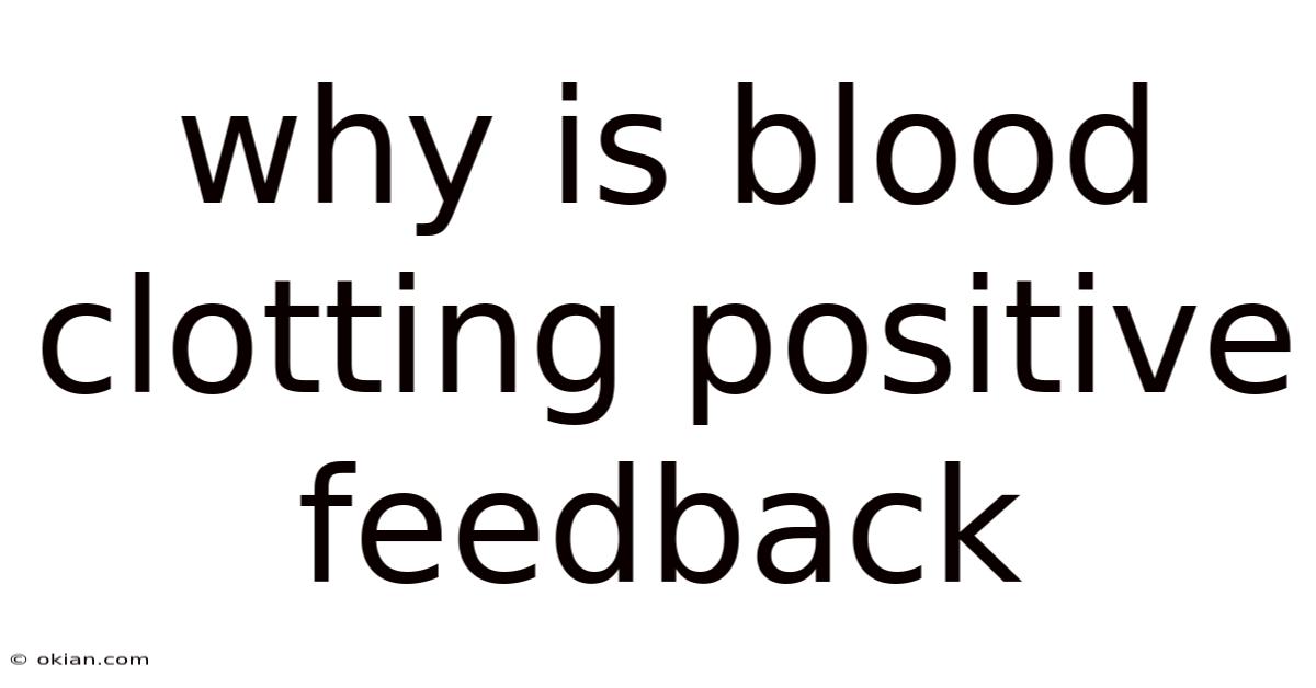 Why Is Blood Clotting Positive Feedback