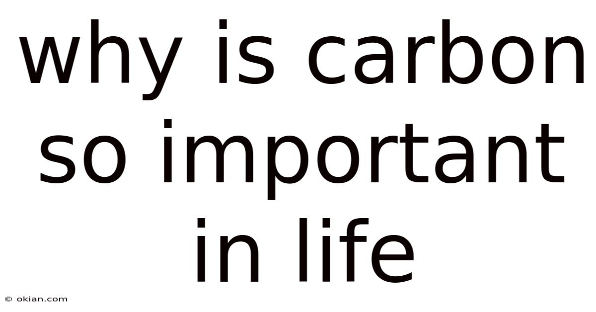 Why Is Carbon So Important In Life
