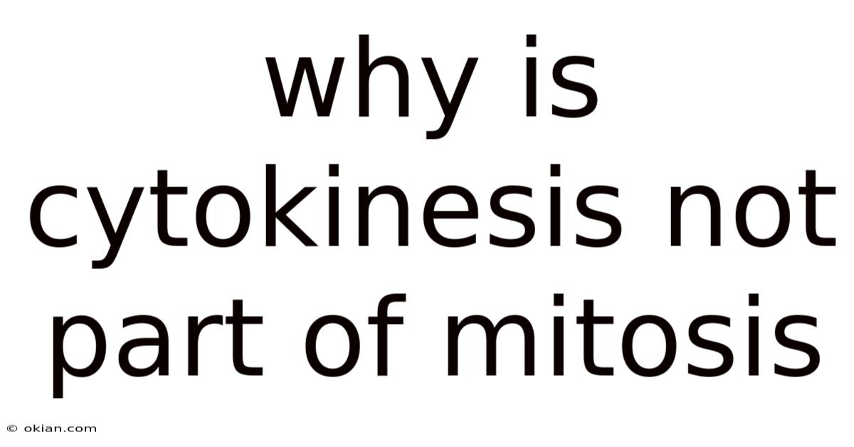 Why Is Cytokinesis Not Part Of Mitosis