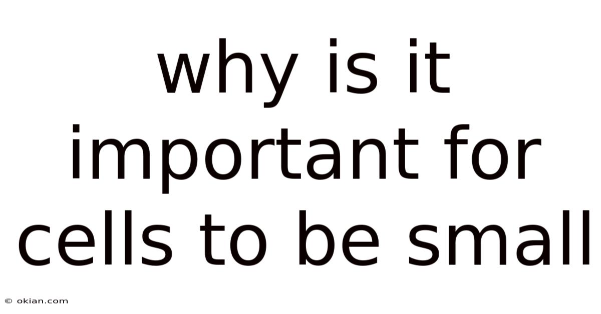 Why Is It Important For Cells To Be Small