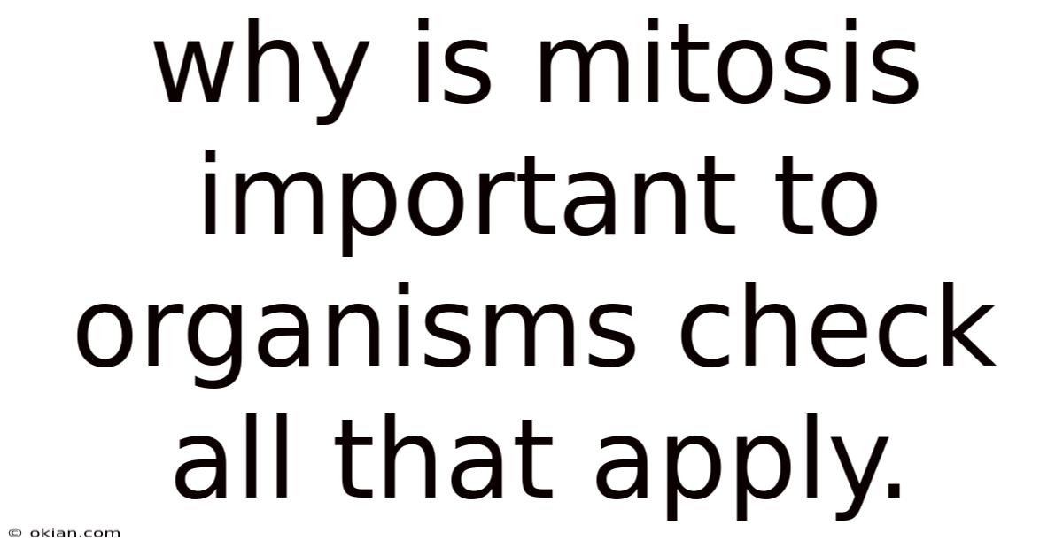 Why Is Mitosis Important To Organisms Check All That Apply.
