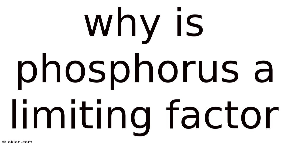 Why Is Phosphorus A Limiting Factor